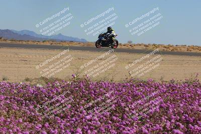 media/Feb-10-2023-2WTD (Fri) [[a356e03532]]/B Group/Session 5 (Turn 15 Blooming)/